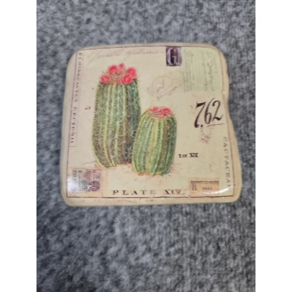 Set Of 4 Cactus Coasters
